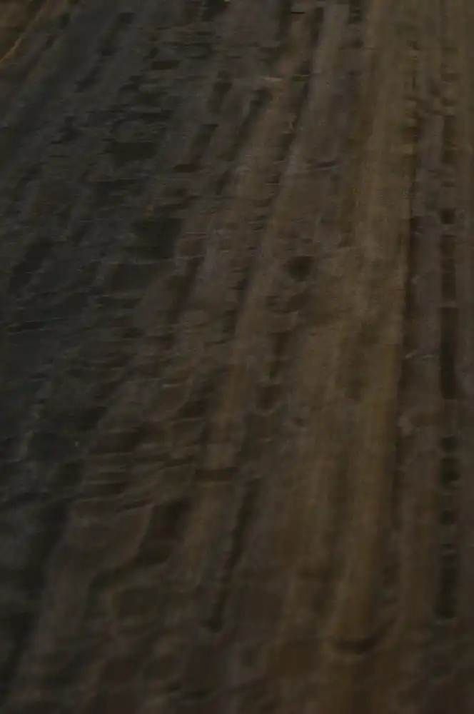 TÜTSÜLÜ OKALİPTUS KAPLAMA