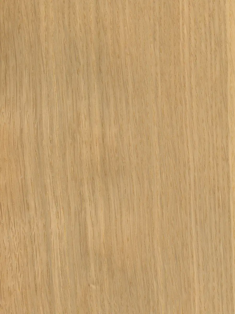 USA MEŞE FREZE KAPLAMA