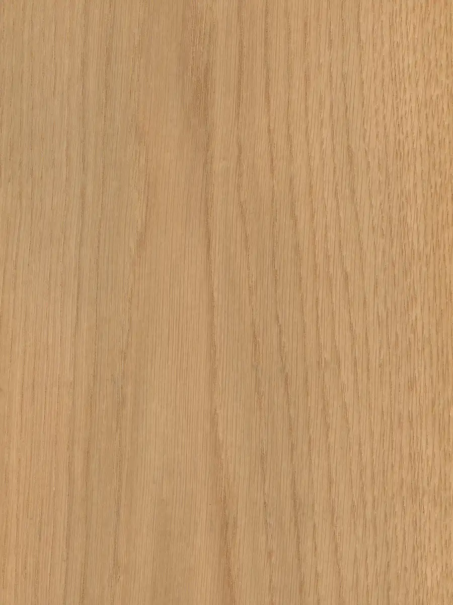 USA MEŞE HARELİ KAPLAMA